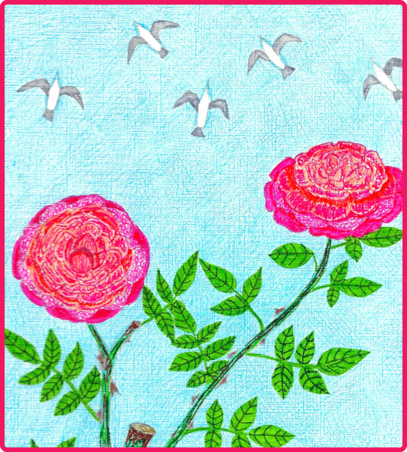Roses and Seagulls