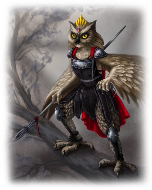 Owl Warrior