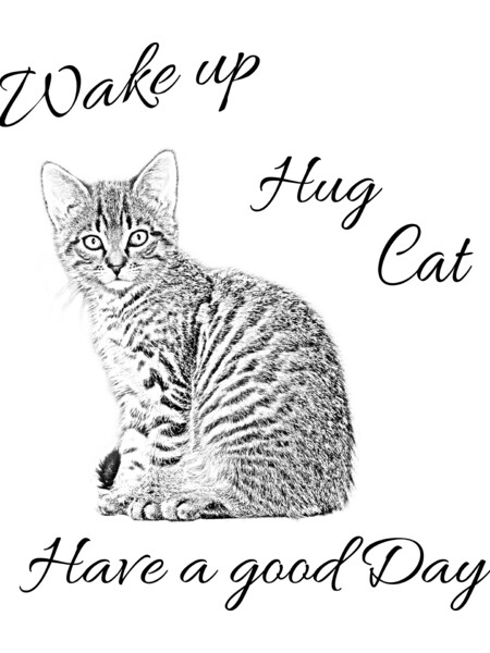 Wake up - Hug Cat and have a good day.