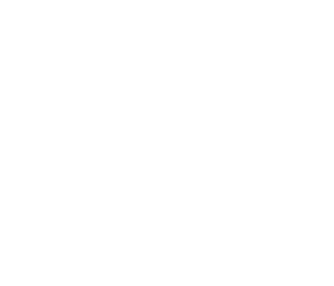 Dopesurf logo ds 2