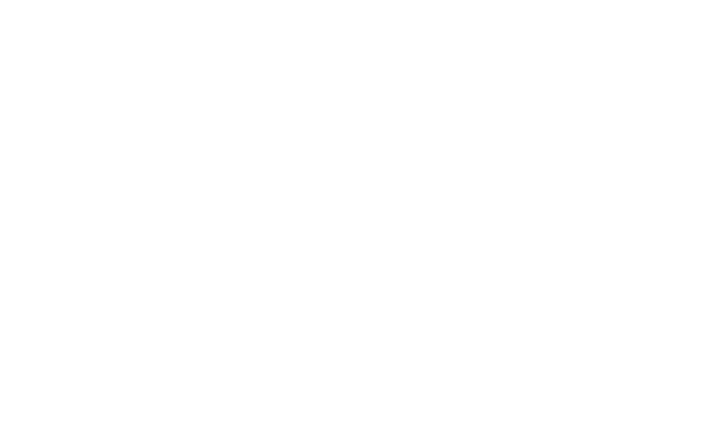 The nitto face white