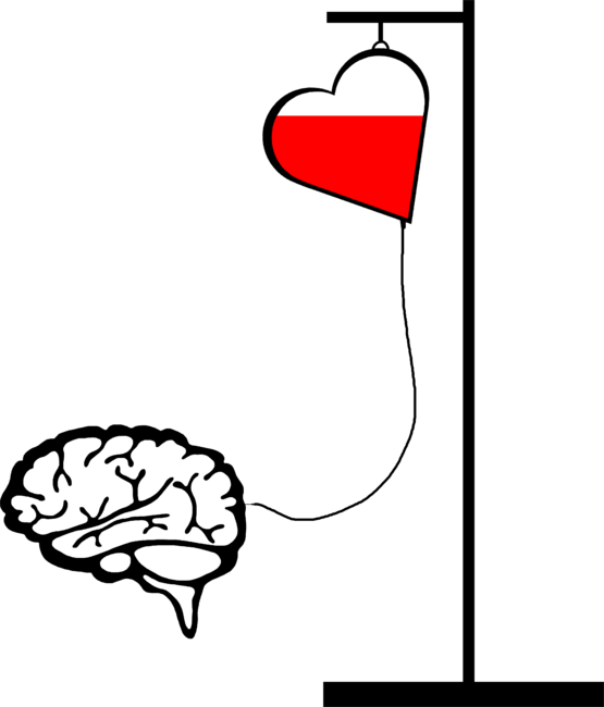 Brain and heart