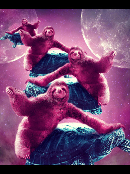 Crazy Funny Space Sloth Riding On Turtle by SkylerJHill
