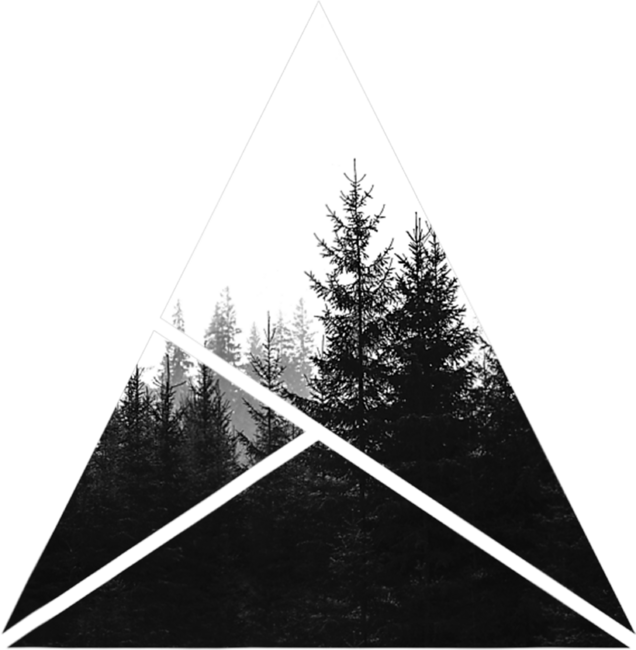 Geometric Forest Abstract Nature Minimalism Triangle by Dudleyjaz