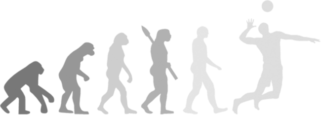 evolution volleyball
