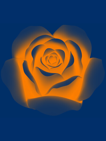 Enlighten Rose
