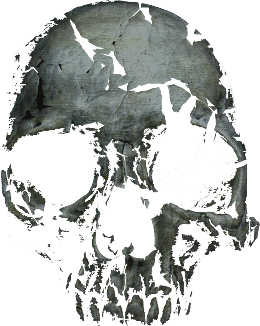 Awesome Dark Cracked Skull goth biker horror t shirt