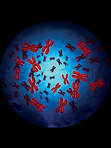 Chromosomes Field