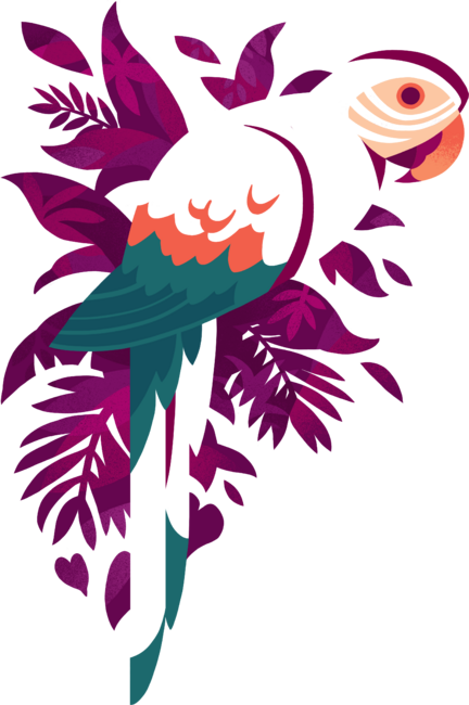 Macaw Silhouette
