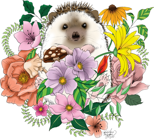 Cute Hedgehog by tigressdragon