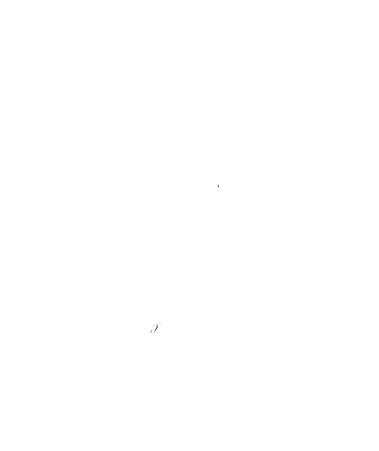 Desert Moon Landscape Cactus, Succulents