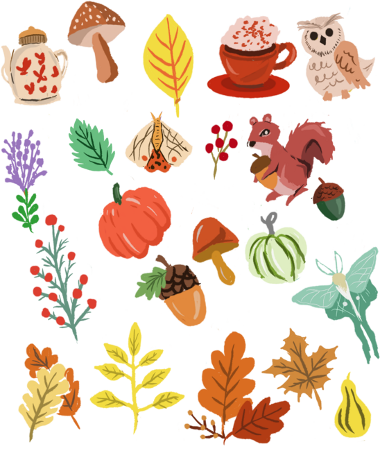 Fall Autumn Pattern Pumpkin, Mushroom, Moth, Leaves