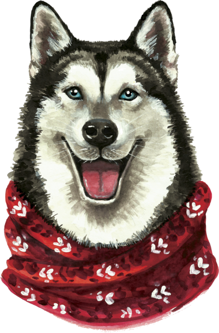 Husky Dog  in a red neck scarf
