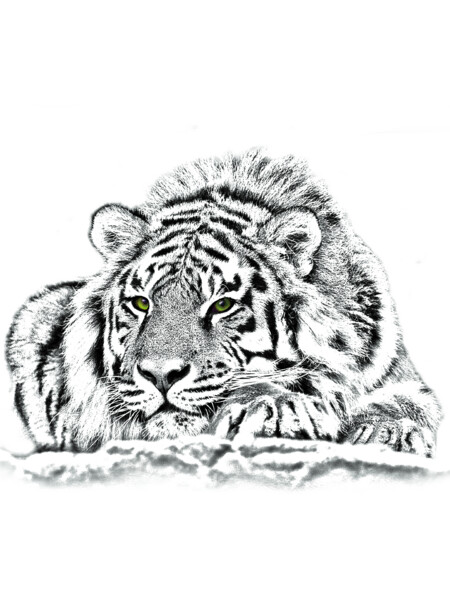 Wildlife &quot;Tiger&quot; by GNDesign