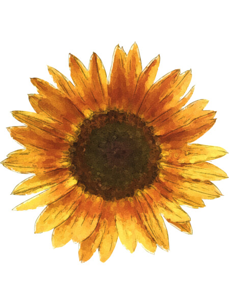 Sunflower by Maryedenoa