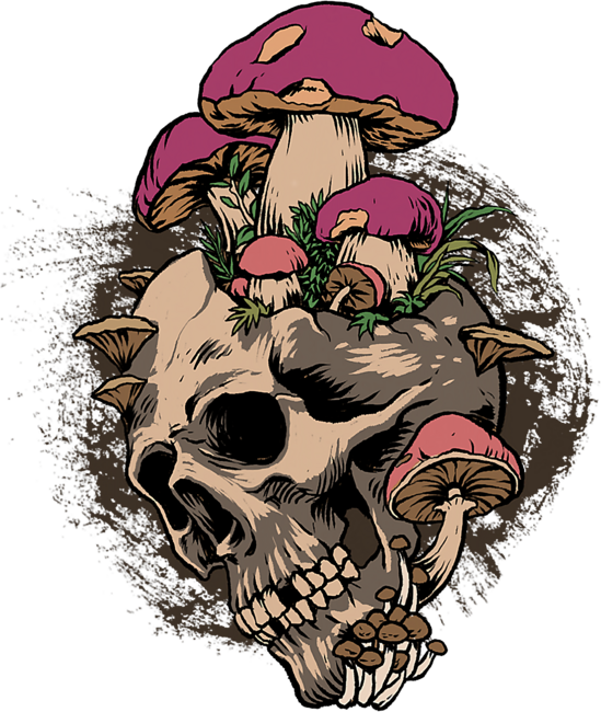 Skull Mushroom Morel Foraging T-Shirt by Playmore