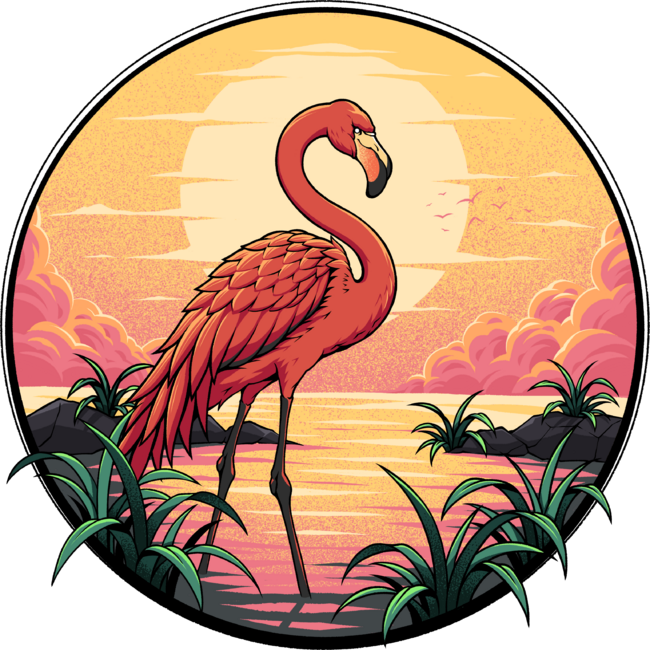 sunset flamingos