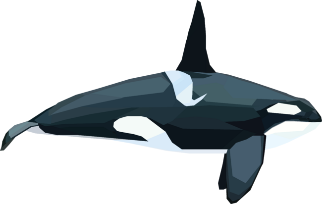 Fresh whale