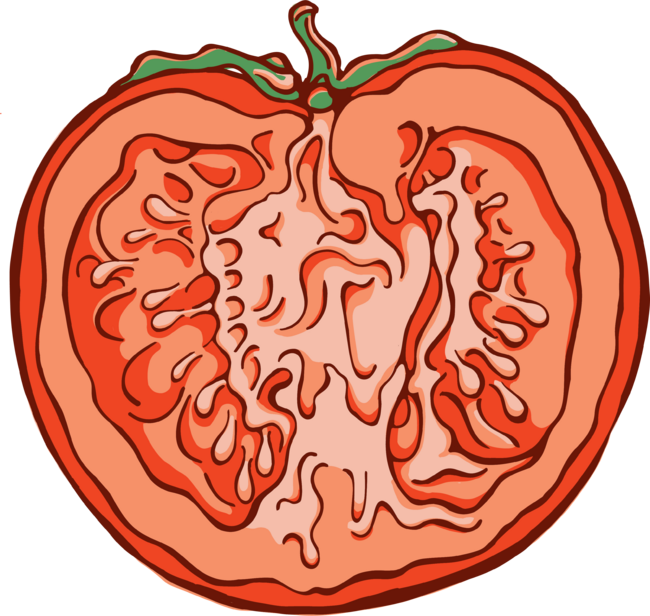 Anatomic Tomato