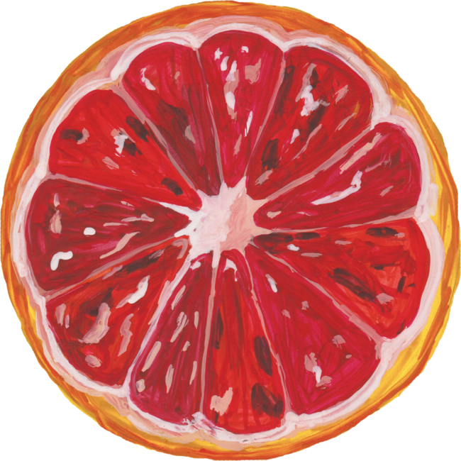 Orange Grapefruit slice