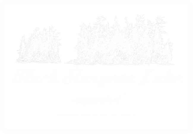 Black Sturgeon Lake white rectangle by DawnDudek