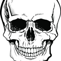 Hard skull