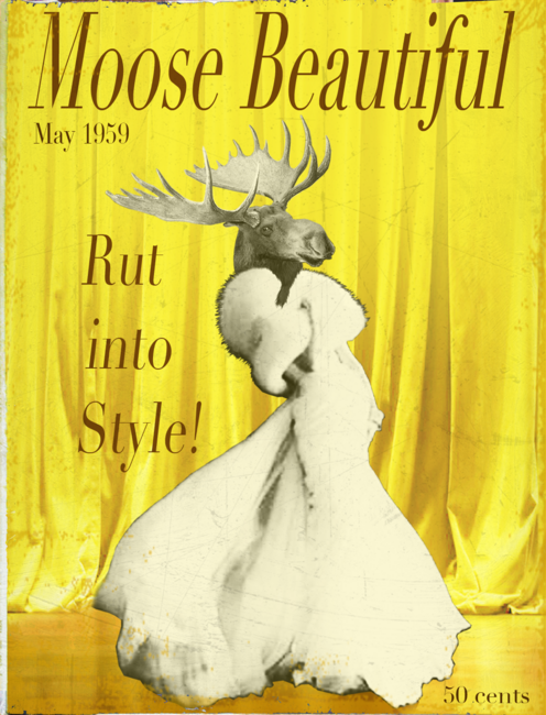 Moose Beautiful magazine.