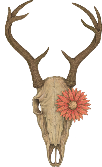 Deer Skull With Flower
