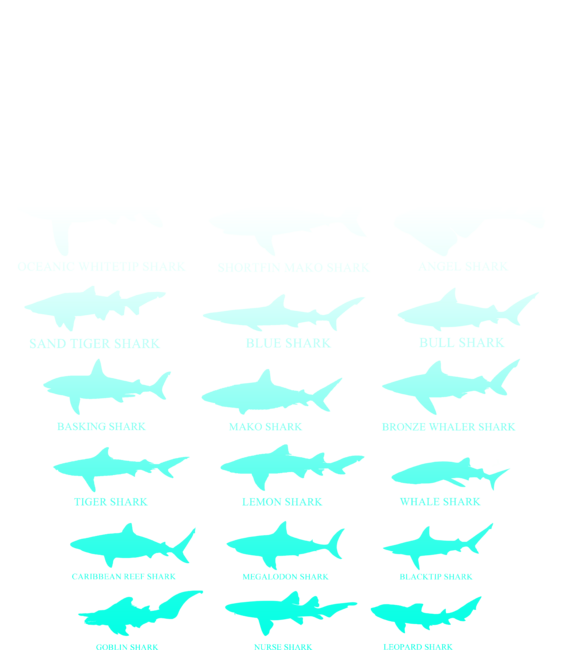 shark by ZeusSE