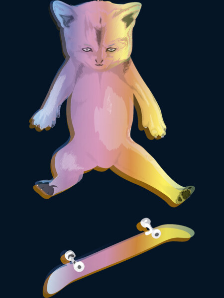 Skater Kitten Kickflip