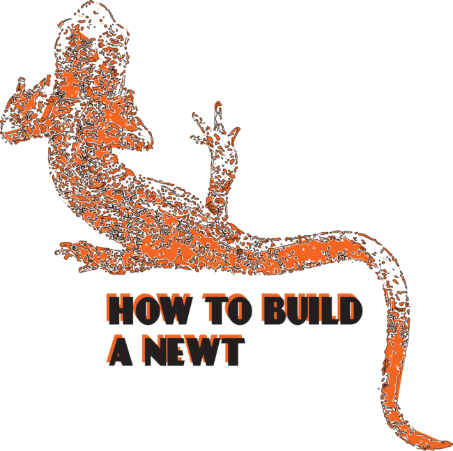how to build a newt