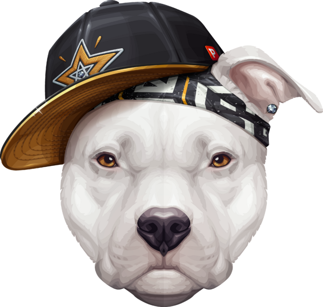 White American Pit Bull Terrier Hip-Hop Super Star by Stonemask