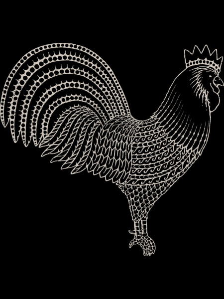 Vintage Chicken Rooster King Drawing Illustration