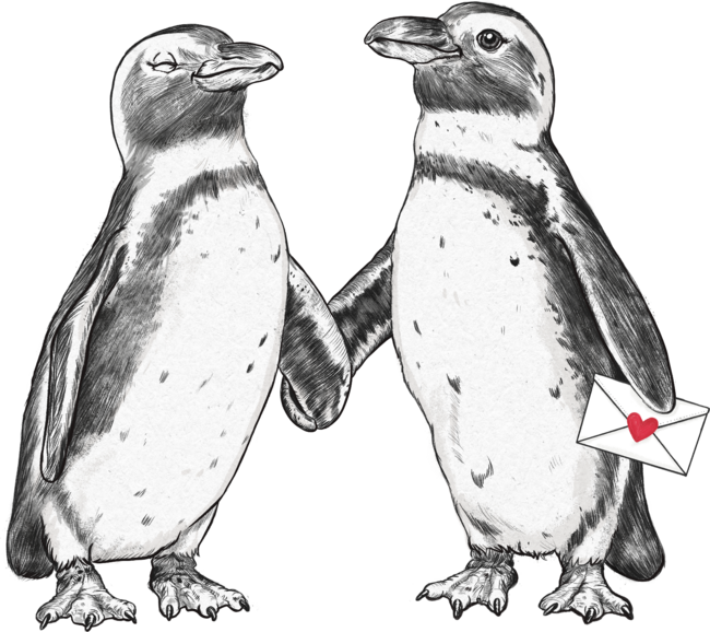 Penguin Couple by lauragraves