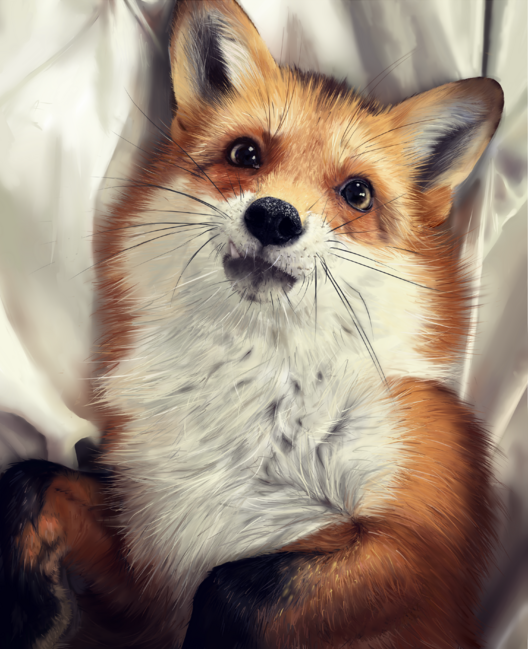 Cute fox in the style of realism