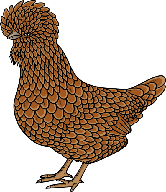 Chamois polish chicken cartoon illustration by cartoonoffun
