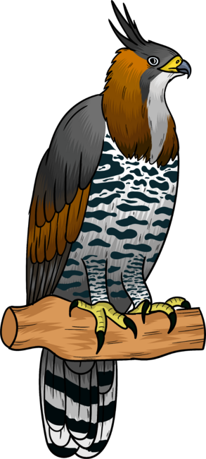Ornate hawk eagle bird cartoon illustration