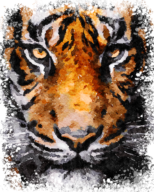 Tiger Head Digital Painting