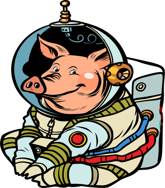 Pig Astronaut, Piggernaut T-Shirt