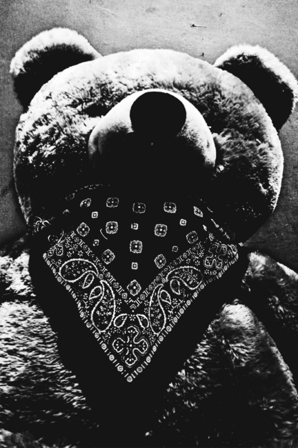 Bear bear bear for DBHOriginals