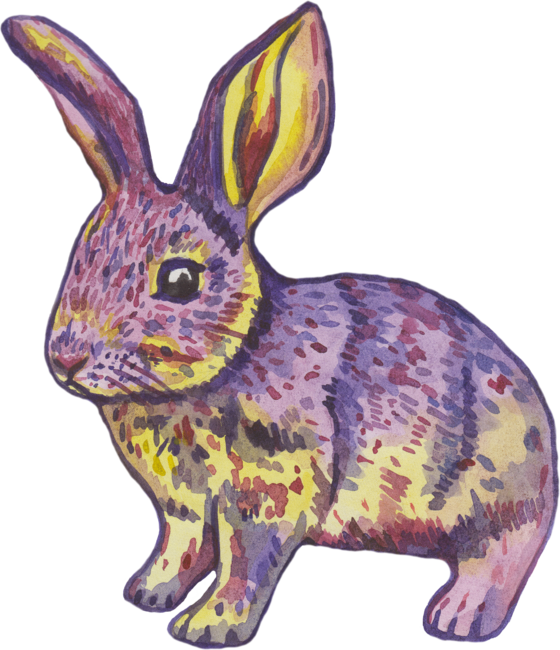 Colorful pink yellow watercolor bunny