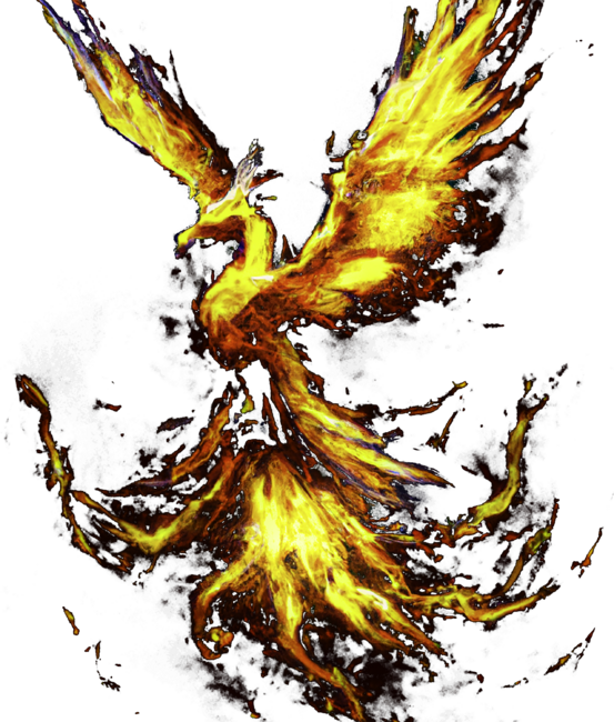 Rise of the phoenix