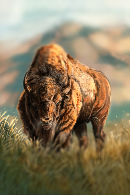 Bison - The Grassland Beast