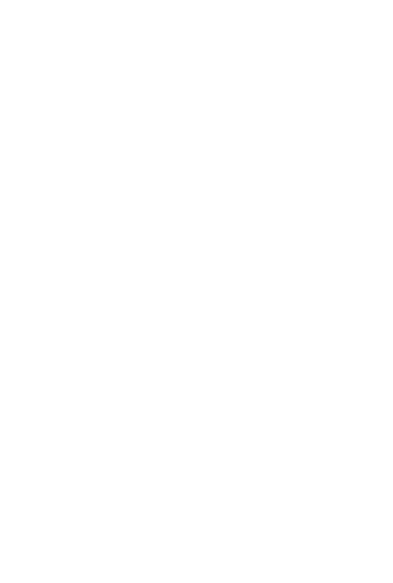 The Burger