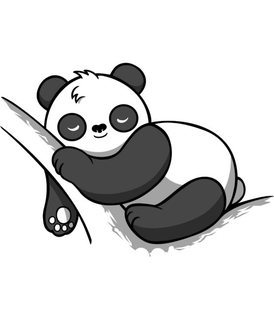 Panda keep sleeping