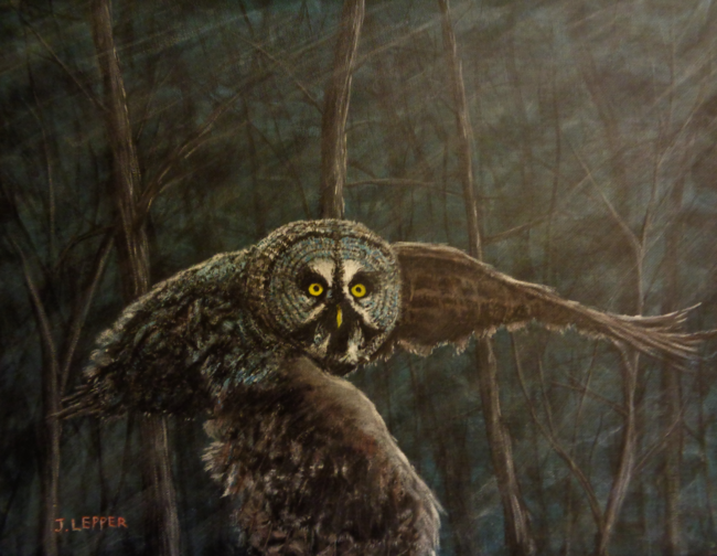 Twilight: Owl of Ga' Hoole