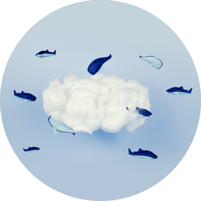 Whales around the cloud