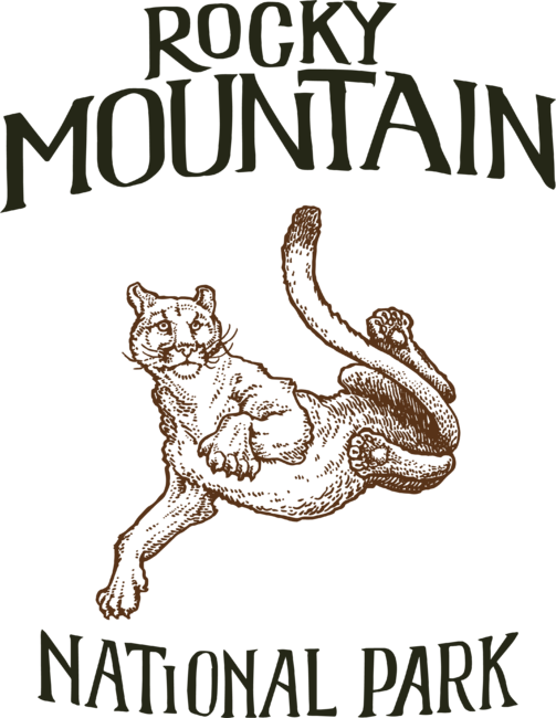 Rocky Mountain National Park Mountain Lion Cougar