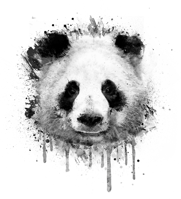 Cool Abstract Graffiti Watercolor Panda Portrait in Black &amp; Whit