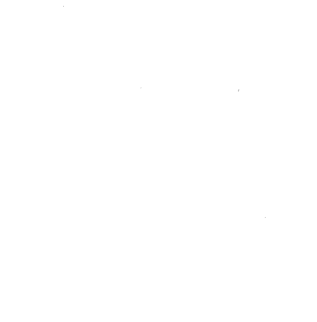 the magician cat tarot card of the magician moon cat